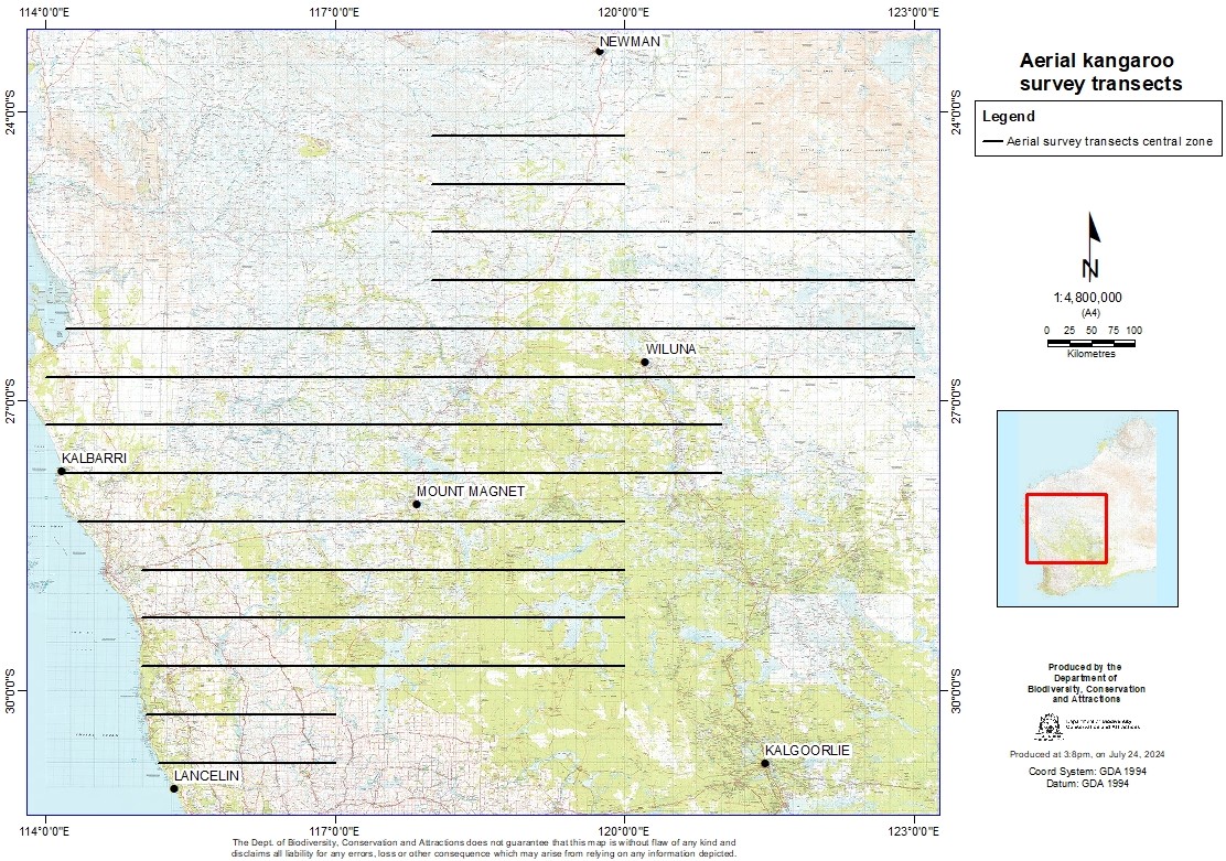 Aerial Kangaroo Surveys 2024 - Shire of Sandstone